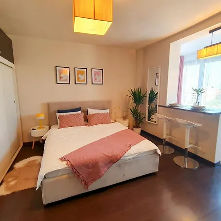 Ospitalier Take Ionescu Τιμισοάρα