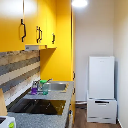 Ospitalier Take Ionescu Διαμέρισμα Τιμισοάρα