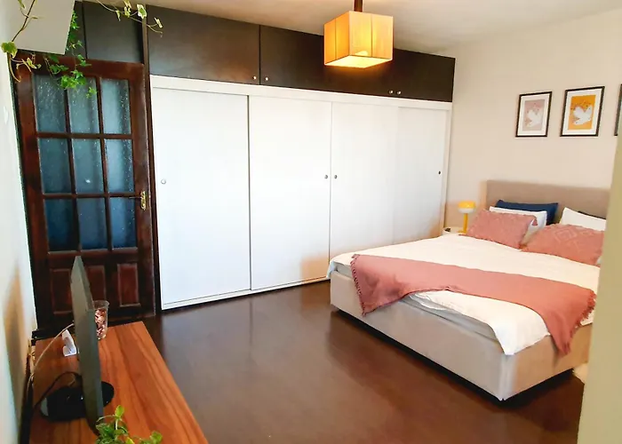 Ospitalier Take Ionescu * Timişoara