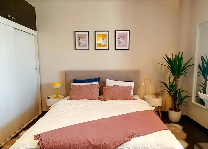 Ospitalier Take Ionescu