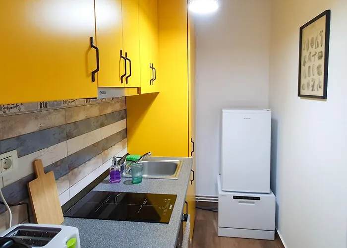 Ospitalier Take Ionescu Apartamento Timişoara