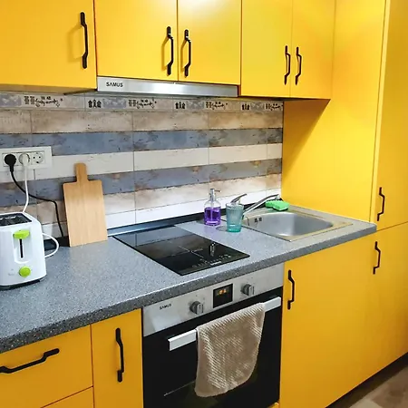 Ospitalier Take Ionescu Timisoara