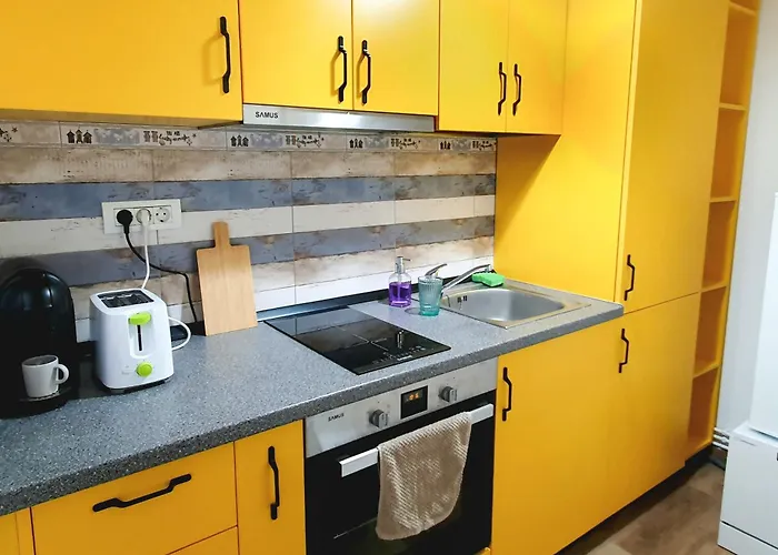 Ospitalier Take Ionescu Timisoara