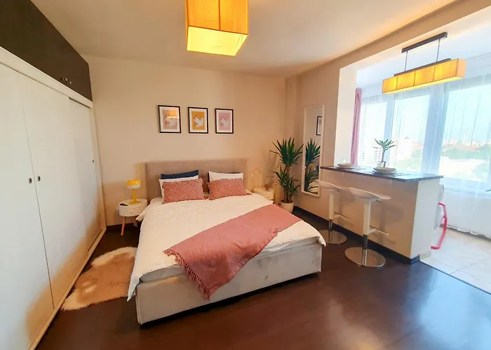 Ospitalier Take Ionescu Timisoara