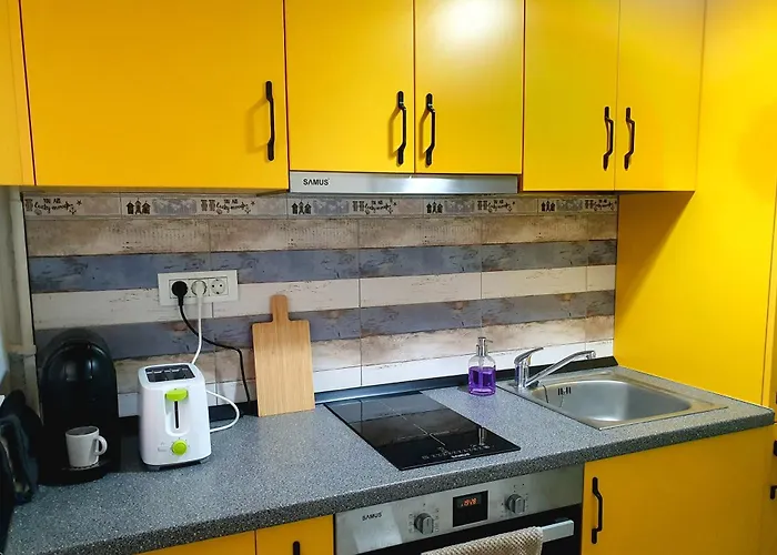 Ospitalier Take Ionescu