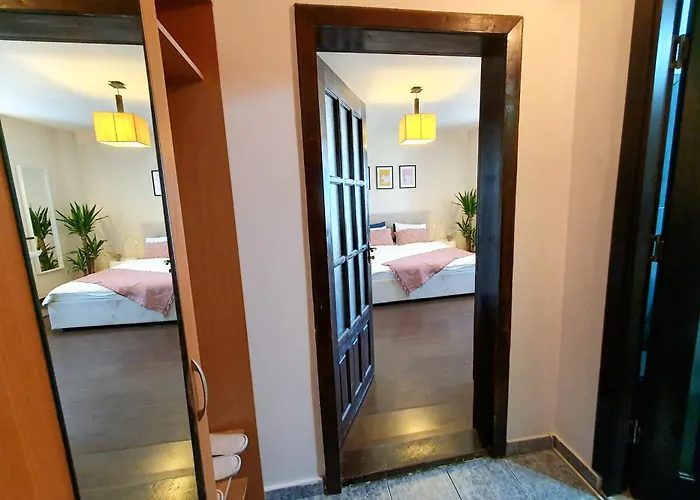 Ospitalier Take Ionescu Timisoara