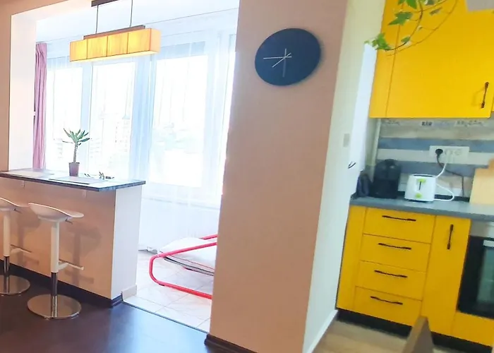 Ospitalier Take Ionescu * Timisoara